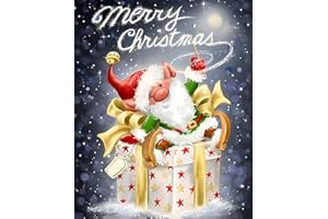 EOBROMD Christmas Diamond Painting Kits for Adults, 5D Gnome Diamond Painting Kits Full Round Diamonds Christmas Diamond Art for Kids Gnome Diamond Picture Embroidery Art for Home Decor Gifts 30x40cm