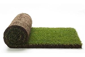 PRATOERBOSO Prato Erboso Shop - Prato pronto a rotoli in erba vera naturale, Erba da giardino, 40cm x 123cm, pianta vera