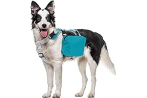 OUOBOB Hundegeschirr mit Rucksack (Abnehmbar) - Wasserdichter Wanderrucksack für Mittel/Große Hunde - Atmungsaktives Mesh, Verstellbar & Robust - Ideal für Labrador, Schäferhund, Camping & Reisen