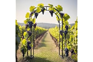 GENERIC Arche De Jardin En Acier, Arceau À Rosiers Tuteur Pour Plantes Grimpantes, Vigne De Glycine, 140 200 240 280cm Robuste Pergola En Métal Pour Pelouse, Décoration De Fête De Mariage(Black,W1.4 x H2.30m)
