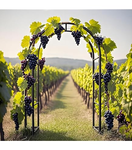 Produktbild von Rosenbogen Rankhilfe Kletterhilfe Pergola 188cm Metall Rosenspalier Torbogen DHL