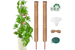 GNEUFVIE Monstera Trellis Pack of 2, 100 cm Plant Stake Coir, Bendable Coconut Fibre, Moss Stick, Plant Stake for Climbing Plants, Natural Plant Support with Accessories