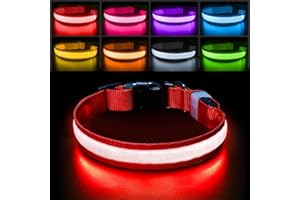 PcEoTllar Collier Lumineux Chien, Collier LED pour Chien Rechargeable & Etanche & 7 Couleurs, Réglable Collier Lumineux pour Petits Moyens Gros Chiens, Collier Chien Fluorescent Nuit, Rouge-S