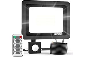 Realky Security Lights Outdoor Motion Sensor with Remote Control, 30W 3000LM LED Floodlights with PIR Sensor 6500K Outdoor Spotlight Brightness Adjustable & Timing Function for Garden Backyard