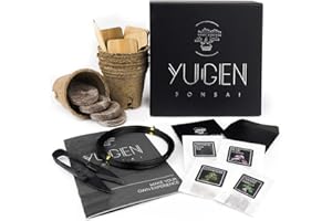 YUGEN BONSAI Starter Bonsai Seeds Kit - Grow 4 Classic Bonsai Trees - Gift Idea for Beginners