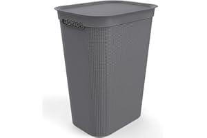 Rotho Brisen - Colector de Lavado de 50 L con Tapa y 2 Asas, Plástico (PP) sin BPA, Gris Antracita, 50 L (43.1 x 34.0 x 52.9 cm)