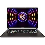 MSI Vector GP78 HX 13VG-055, Gaming Laptop, 43,2 cm (17,0 Zoll) QHD+, 240 Hz, Intel Core i7-13700HX, 16 GB DDR5-4800, 1 TB SS