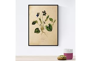 Nacnic Vintage Flower Poster Arkusz Viola w stylu vintage. Projekt botaniki do wnętrz Rozmiar A4