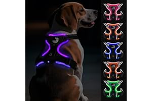 Joytale Harnais Lumineux Rechargeable pour Chiens de Taille Moyenne, Harnais LED Anti-Traction Chien réglable réfléchissant avec poignée, pour Promener la Nuit, Noir/Violet, M