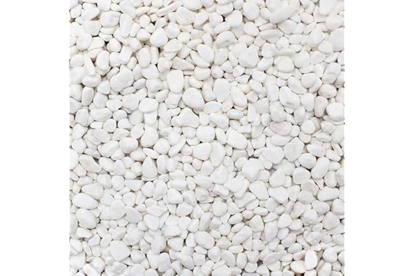 Galets Naturels Décoratifs Blancs, 0,9-1,2 cm Petit Gravier de Jardin Pierre de Rivière en Granulés pour Aquarium Pot de Fleurs Aménagement Paysager, Décoration de Remplissage Vase (1 kg/2,2 lb)