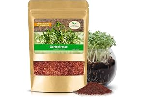 Magic of Nature: Smörgåskrasse Frön 1kg Storpack Lepidium sativum Ört | Idealisk för färska groddar & sallader - Snabb tillväxt, skörd året runt