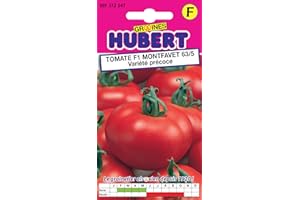 GRAINES HUBERT SEMENCES & ENGRAIS MAIROL 20 Graines de Tomate F1 Montfavet 63/5 Variété Précoce