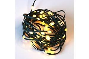 Qbis Battery Powered Outdoor Lights Multifunction Battery Lights with Timer. Warm White Outdoor Fairy Lights on Green Wire. Micro LED Outdoor String Lights. (60 LED Green Wire)
