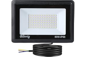 Blivrig 50W Focos LED exterior 6000K Blanco Frío, 5000LM Foco LED Pared, Blanca Fría IP66 Impermeable, para Patio, Terraza, Garaje, Jardín