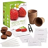 Exotic Fruit Seed Growing Kit Gift Box Grow Your Own Fruit Kit - 5 Flavours to Grow; Strawberry, Melon, Cherry Tomato, Physal