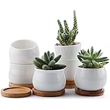 T4U 6/7/7CM Runde Modern Weiß, Keramik Sukkulenten Töpfe Kaktus Pflanze Töpfe Mini Blumentöpfe mit Untersetzer 6er Set
