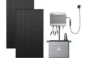 ZENDURE SUPERCHARGED Zendure SolarFlow 800 Micro-onduleur Hybride Intelligent 1200W MPPT, Puissance AC bidirectionnelle de 800 W, avec Panneau solaire Bi-facial 1118W, avec AB2000X Batteries (Installation Facile)