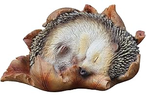 Vivid Arts Xrl-HH09-F - Riccio in foglia, decorazione per la casa o il giardino