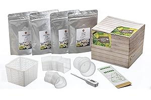 BEER & WINE KIT CASEIFICIO VEGANO