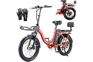 TWOFISH Electric Bike for Adults, 20"*3.0" Fat Tire Folding Electric Bicycle with 36V 17.8AH Removable Battery 7 Speed 25km/h 80-100km Range Disc Brake IP54 Waterproof, TF-2