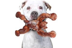 Zinbo Dog Toys for Aggressive Chewers, Indestructible Dog Toys, Toughest Nylon Dog Chew Toy with Real Bacon Flavor, Fun to Chew, Dog Bone Toys for Medium/Large Breed Dogs