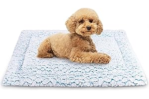 Aspand Cuscino per Cani Corto in Peluche, per Cani Taglia Grandi e Medi Materassino Cane, 63x48cm, Caldo e Comodo, Facile da Pulire, Blu