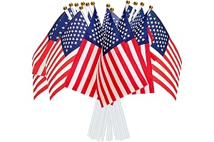 USA 100