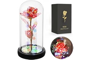 JUSTOYOU Rose Gifts for Women,Mothers,Wife Gifts,Colorful Artificial Rose Flower Gifts for Women,Forever in Glass Dome,Rainbow Rose Flower for Birthday,Christmas Mothers Day Decorations(Red)