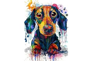DVBQQWE Dachshund 5D Diamond Painting Kit Full Drill Crystal Rhinestone Cross Stitch Embroidery Arts Craft Picture Supplies for Home Wall Decor 12 X 16 Inch
