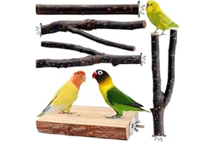 BBJINRONJY Vogelspielzeug, Sittichsitzstange, Wellensittichsitzstange, Holzständer, Gabelspielzeug, Sitzstange mit mehreren Ästen, Plattformspielzeug für kleine Sittiche, Nymphensittiche, Sperlingspapageien, Unz