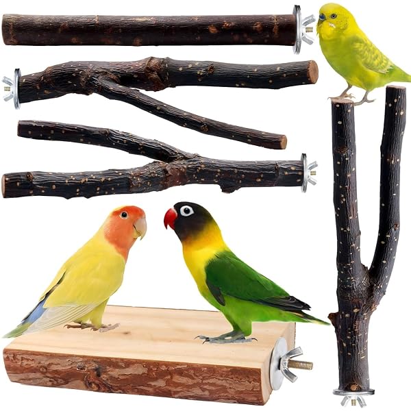 Futterclip Für Vogelkäfig – Hält Obst & Gemüse Fest, Einfach Zu Reinigen