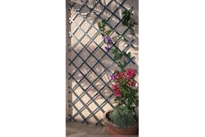 MD MUZ Lot de 3 treillis de jardin extensibles en bois gris 180 x 30 cm