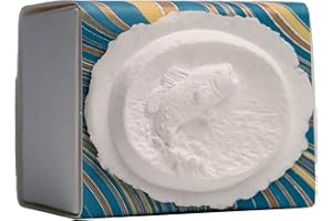 EARTH MEMORIALS The Favorite Place® Burial Biodegradable Urn for Human Ashes, (Small Fish Urn Box), Water Burial Urn, Urn for Cremation, Cremation Urn, (Fish on Blue Ocean Paper) R-205