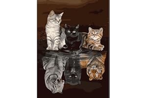 WACYDSD Malen Nach Zahlen Erwachsene, DIY Handgemalt Ölgemälde Kits auf Leinwand Geschenk für Frauen Mama Tochter Weihnachten Geburtstag Home Haus Deko 40 * 50 cm (Katze Reflexion)