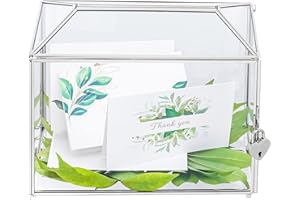 NCYP 26x15x20cm Silberfarbene Glaskartenbox mit Schlitz und Schloss für Geburtstag Party, Handgefertigt geometrisches Kartenhalter, Heimdekoration,Pflanze Terrarium (Nur Glasbox und Schloss)