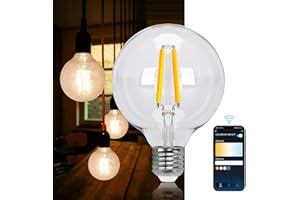 Aigostar Lampadina Vintage Smart, E27 LED 6W Transparente Lampadine Filamento a Globo G95, 850 LM Bianco Caldo Dimmerabile 2700K - 6500K, Compatibile con Alexa e Google Home, 2.4GHz WiFi