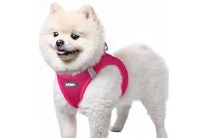 rabbitgoo Arnes Perro Pequeño Rosa Rojo S, Arnés Antitirones para Perros Ajustable Fácil de Poner, Arnes Cachorro de Malla Suave Transpirable, Chaleco Reflectante para Perro Pequeño y Mediano