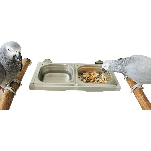 Edelstahl Vogelfutterschale Mit Haken & Rattan-Bällen – Set Für Papageien, Finken & Co.