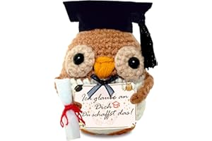 Abschluss Geschenk, Adventskalender Inhalt, Bachelor 2025, Abi 2025 Glücksbringer Prüfung Geschenk, Schultüte, Pocket Hug Eule, Bachelor Master Abitur, Positive Kartoffel Deutsch, Prüfung Bestanden