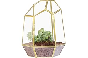 NCYP Terrarium en verre géométrique doré avec porte pour plantes succulentes de cactus - Pot de fleurs irrégulier en laiton fait à la main - Décoration de table - Cadeau (terrarium uniquement) - 20 x