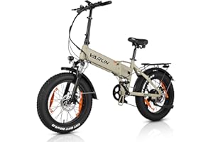 VARUN Velo Electrique, 20"*4.0" Fat Tire Vélo Électrique Pliable avec 48V13Ah Batterie Amovible, Jusqu'à 100KM, 250W Moteur, Velo Eletrique Homme Femme avec 7 Vitesses, E-Bike avec Pédalage Assisté