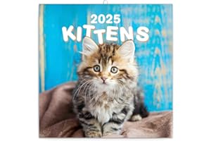 NOTIQUE Calendrier mural 2025 avec brochures au motif de chatons - Calendrier mensuel - 30 x 30 cm (30 x 60 cm ouvert)