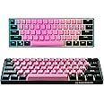 KRAKEN KEYBOARDS Kraken Pro 60 | 60% HOT SWAPPABLE Mechanical Gaming Keyboard for Gaming On PC, MAC, Xbox and Playstation (BLINK | Silver Switches)