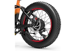 DualColorStampe Adesivi Cerchi Bici FAT BIKE 20'' Pollici Ruota Bici accessori Fat bike MTB Stickers Cerchi BANDIERA ITALIANA COD. B0128 (ROSSO FLUORESCENTE)