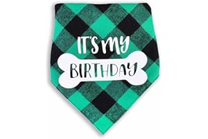 Monkimau Hundehalstuch für große Hunde - Halstuch Hund Geburtstag (grün)