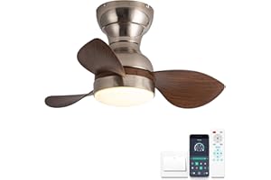YCWDCZ Ø56cm Mini Ventilador de Techo con Luz y Mando a Distancia, Lampara Ventilador Techo Pequeño, Reversible Modo Verano Invierno Motor DC Silencioso 6 Velocidades, Plata + Marrón veteado