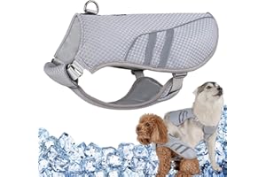 LiebeDD Kühlweste Hund Sommer Abkühlung Jacket für Hunde, Verstellbar Atmungsaktiv Mesh Hundeweste mit Geschirr D-Ring Warnweste Hundemantel für Kleine Mittelgroße Große Hunde, M