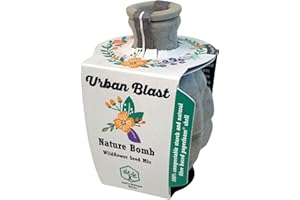 LOU'S NATURE STORE Lou’s Nature Store – Urban Blast – Wildflower Seed Mix – Seed Blast Contains Wild Flower Seeds – Colourful Bee Blast – Made in The UK