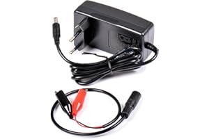 AFTERTECH 12V (12,6V) 3A CARICABATTERIA PER BATTERIE LI-ION LITIO PILA CARICATORE CHARGER M8G1