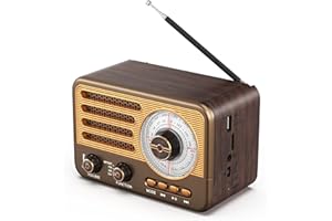 SWTOIPIG Radio transistor vintage – Style rétro avec gamme moderne, portable, AM/FM/SW, avec USB/TF/AUX MP3 et batterie rechargeable de 1800 mAh